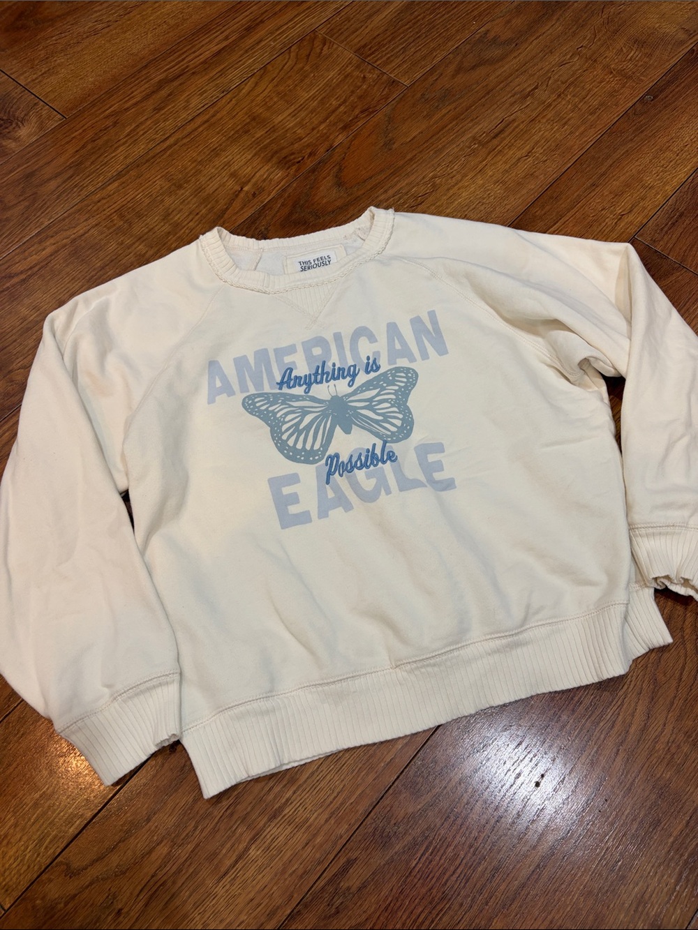 American Eagle Outfitters Cream Crewneck Sweatshirt with Light Blue Graphic S